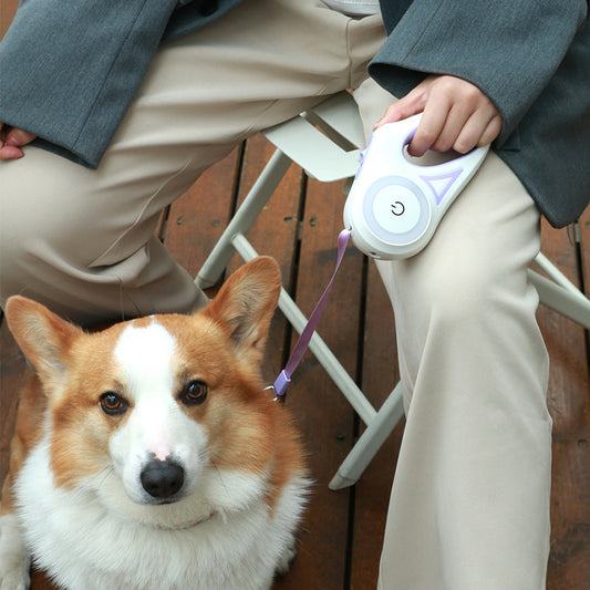 Retractable Dog Leash with LED